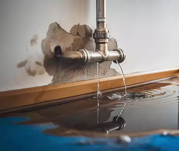Professional Water Damage Restoration Experts in Waterbury, CT — Fast, Reliable & Certified