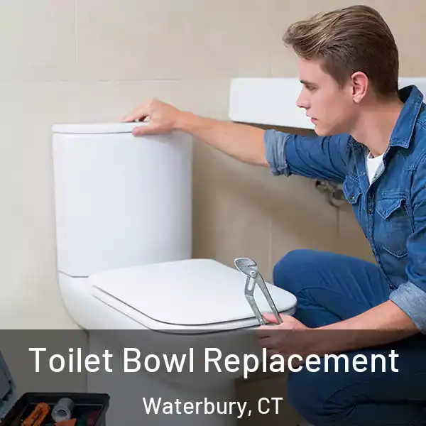  Toilet Bowl Replacement Waterbury, CT
