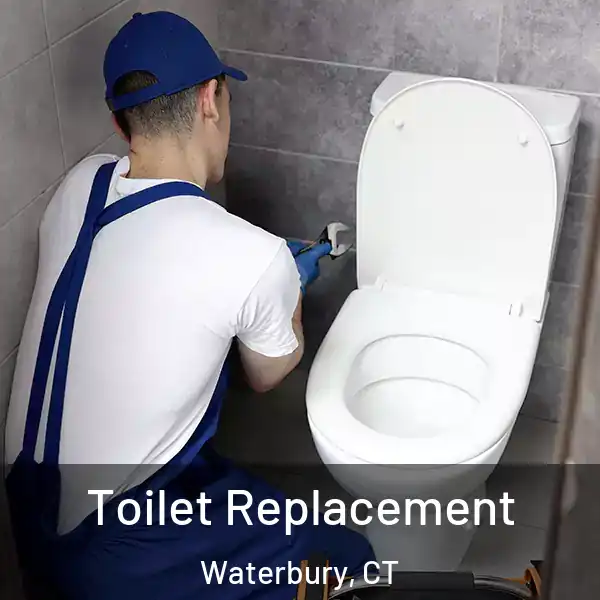  Toilet Replacement Waterbury, CT